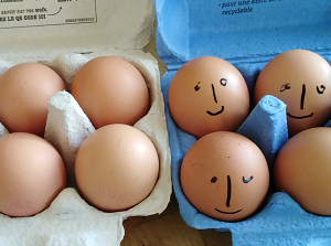Les œufs ….