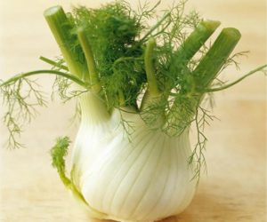 Poêlée de fenouil aux lardons